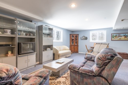Salle familiale - 24 Ch. Frizzle, Lac-Brome, QC - Indoor Photo Showing Living Room