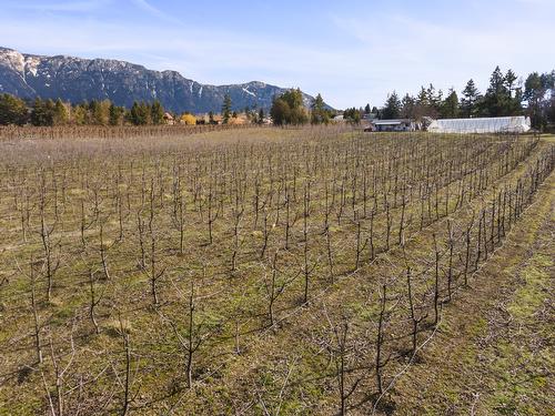 2103 Erickson Road, Erickson, BC 