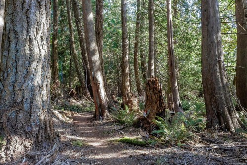 10741 Chemainus Rd, Ladysmith, BC 
