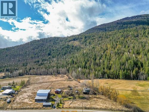 3668 Trinity Valley Road, Enderby, BC - Outdoor With View