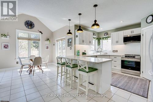 609 Simon Street, Shelburne, ON - Indoor Photo Showing Kitchen With Upgraded Kitchen