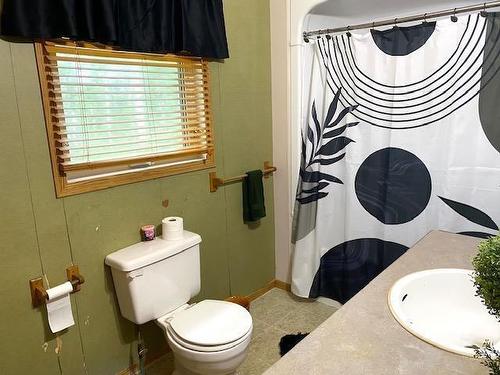 95 Crestview Drive, Onanole, MB - Indoor Photo Showing Bathroom