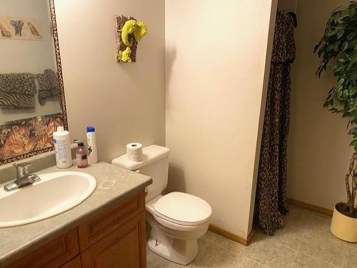 95 Crestview Drive, Onanole, MB - Indoor Photo Showing Bathroom