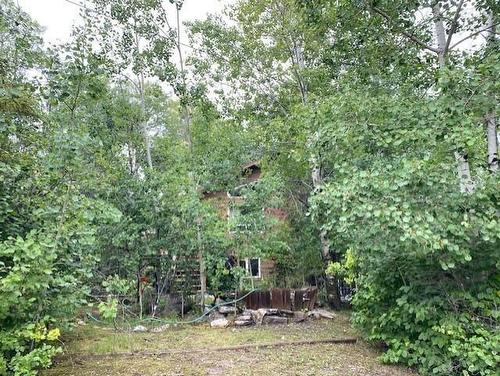 95 Crestview Drive, Onanole, MB - Outdoor