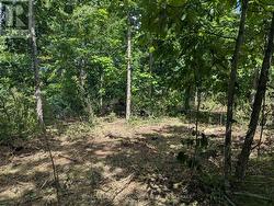 2621 4TH CONCESSION ROAD  Kingston (City North Of 401), ON K0H 1Y0