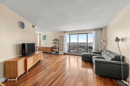 Living Room - 630-7900 Ch. De La Côte-St-Luc, Côte-Saint-Luc, QC - Indoor Photo Showing Living Room