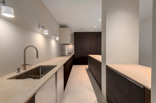 Cuisine - 3004-1455 Rue Sherbrooke O., Montréal (Ville-Marie), QC - Indoor Photo Showing Kitchen With Double Sink
