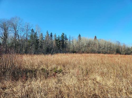 Lot Christopher Rd, Edgetts Landing, NB 