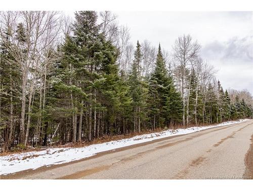 Lot 6 Plumweseep Rd, Plumweseep, NB 