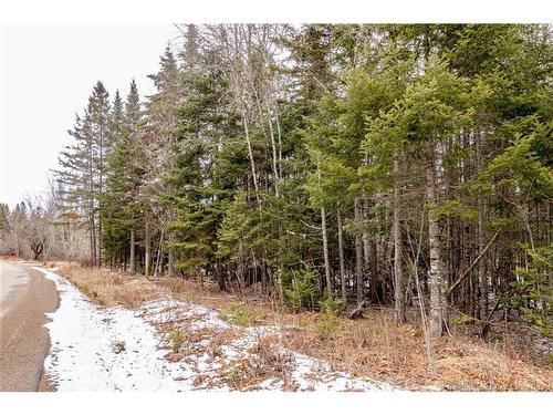 Lot 6 Plumweseep Rd, Plumweseep, NB 