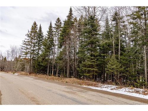 Lot 6 Plumweseep Rd, Plumweseep, NB 