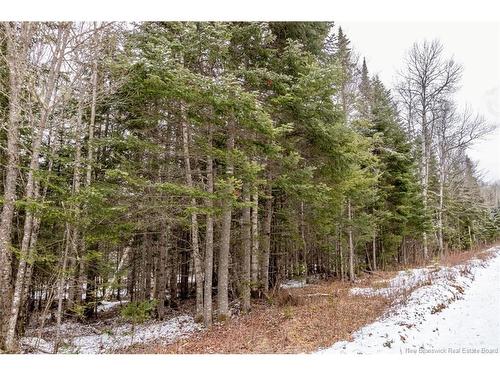 Lot 6 Plumweseep Rd, Plumweseep, NB 
