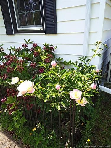 402 Argyle St, Saint John, NB 