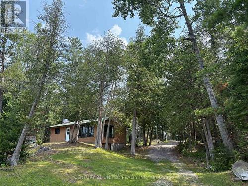 16 FIRE ROUTE 311  Trent Lakes, ON K0L 1J0