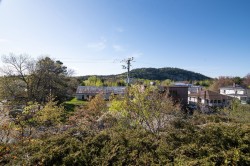 View - 