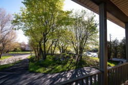 Courtyard - 