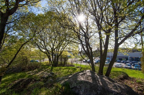 Courtyard - 309 Rue Taché, Saint-Pascal, QC - Outdoor With View