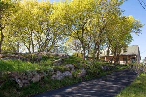 Overall view - 309 Rue Taché, Saint-Pascal, QC - Outdoor