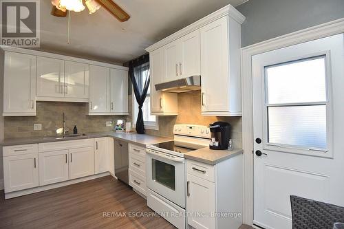 56 Kinrade Avenue, Hamilton, ON - Indoor Photo Showing Kitchen With Double Sink