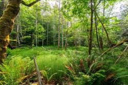 Lot 3 - 384 Seaspray Dr Metchosin, BC V9C 4A6