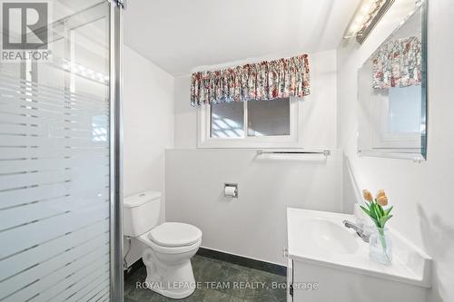 808 Nicholson Avenue, Ottawa, ON - Indoor Photo Showing Bathroom