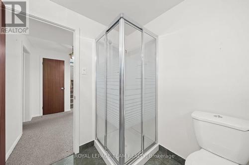 808 Nicholson Avenue, Ottawa, ON - Indoor Photo Showing Bathroom