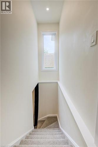 38 Euclid Avenue, Waterloo, ON - Indoor Photo Showing Other Room