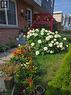 View of yard - 10 Armstrong Avenue, Hamilton, ON  - Outdoor 