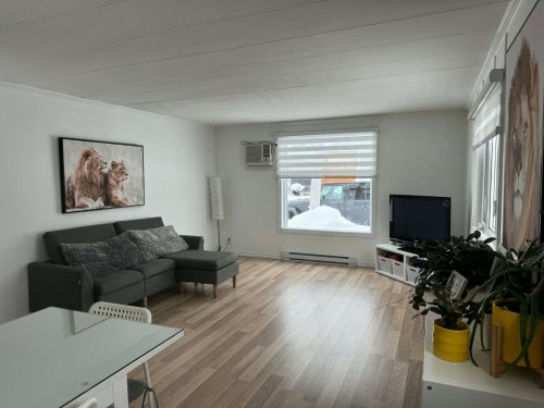 Salon - 12 Rue Guy, Rouyn-Noranda, QC - Indoor Photo Showing Living Room