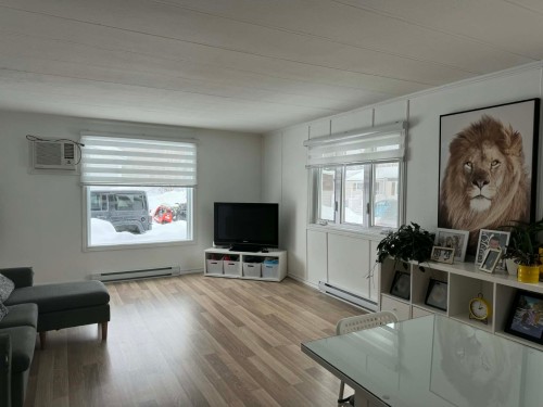 Salon - 12 Rue Guy, Rouyn-Noranda, QC - Indoor Photo Showing Living Room