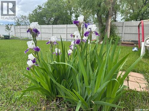 55 Schneider Crescent, Regina, SK - Outdoor