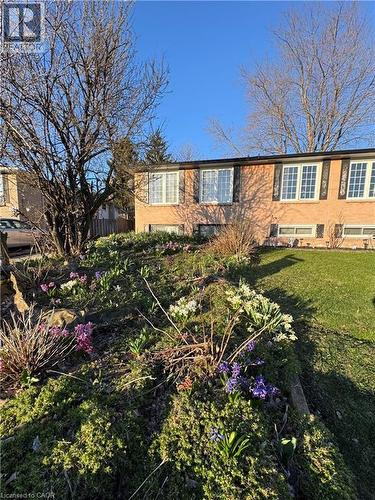 Front garden featuring diverse plantings and vibrant early spring blooms - 222 Greencedar Drive, Hamilton, ON - Outdoor