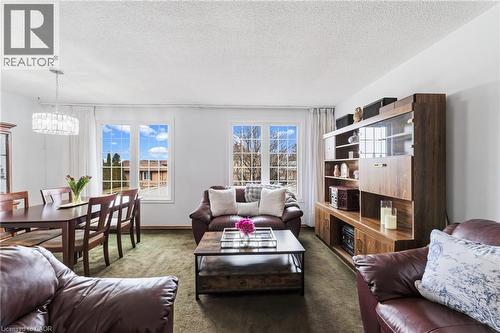 222 Greencedar Drive, Hamilton, ON - Indoor Photo Showing Living Room
