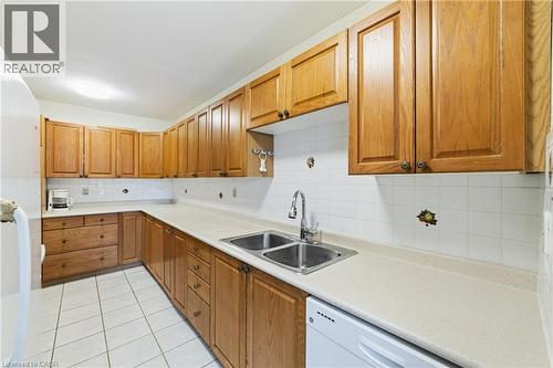 222 Greencedar Drive, Hamilton, ON - Indoor Photo Showing Kitchen With Double Sink