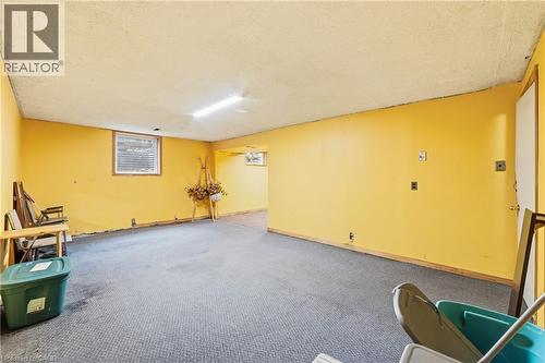 222 Greencedar Drive, Hamilton, ON - Indoor Photo Showing Basement