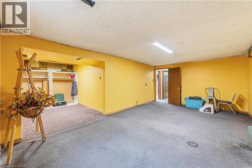 222 Greencedar Drive, Hamilton, ON - Indoor Photo Showing Basement