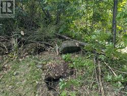 2622 4TH CONCESSION ROAD  Kingston (City North Of 401), ON K0H 1Y0