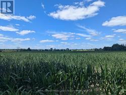 2622 4TH CONCESSION ROAD  Kingston (City North Of 401), ON K0H 1Y0