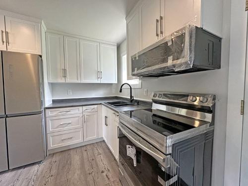 130 Harkness Street, Nipigon, ON - Indoor Photo Showing Kitchen With Double Sink