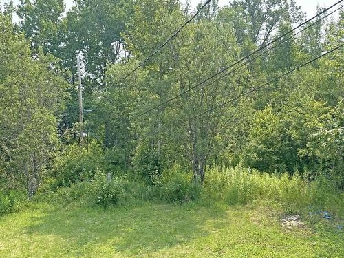130 Harkness Street, Nipigon, ON - Outdoor