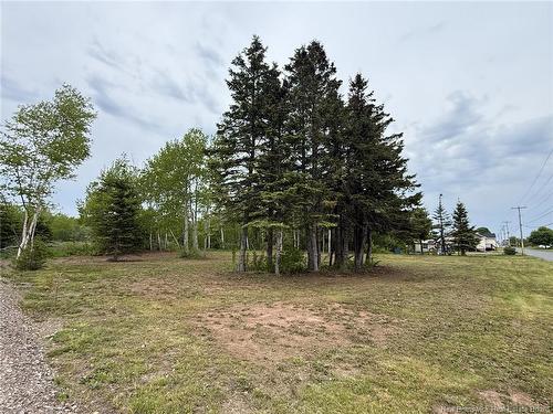 3,425 Mc 12E Rue, Shippagan, NB 