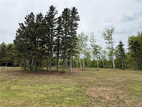 3,425 Mc 12E Rue, Shippagan, NB 