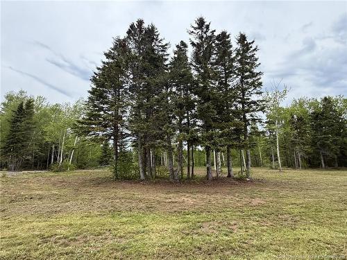 3,425 Mc 12E Rue, Shippagan, NB 