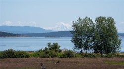 7003 Beach View Crt Central Saanich, BC V8M 2J7