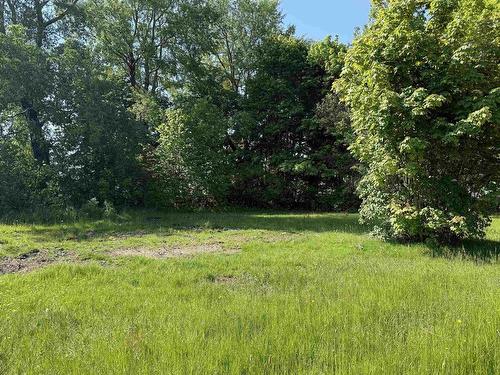 8 Newton Avenue, Amherst, NS 