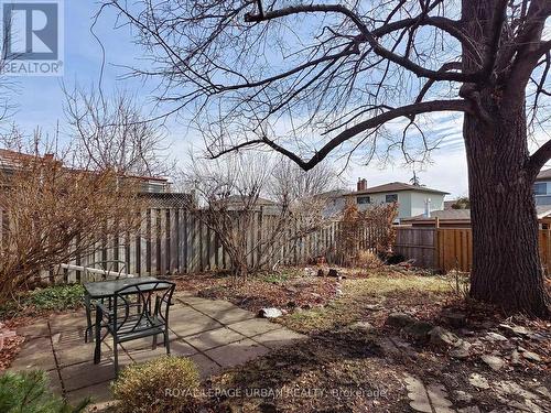 Back Yard - 733 Consort Crescent, Mississauga, ON - Outdoor