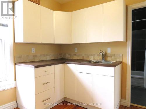 29 Oxford Street, Hamilton, ON - Indoor Photo Showing Kitchen With Double Sink