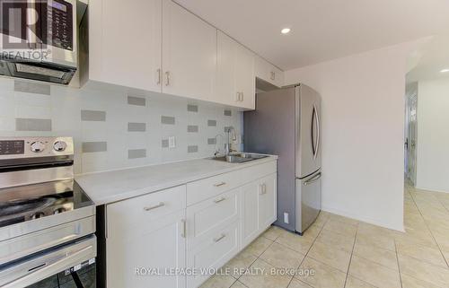 51 Camrose Court, Kitchener, ON - Indoor Photo Showing Kitchen With Double Sink