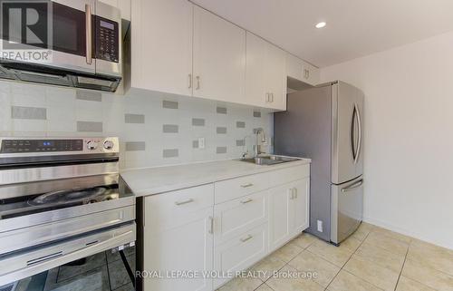51 Camrose Court, Kitchener, ON - Indoor Photo Showing Kitchen With Double Sink