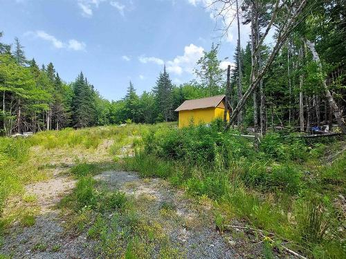 75 Evanston Rd, Cleveland, NS 